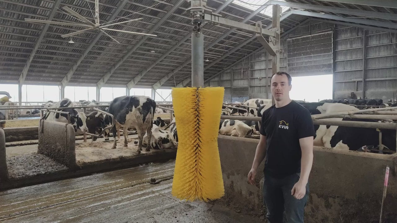 Load video: Derfor skal du vælge Karoline