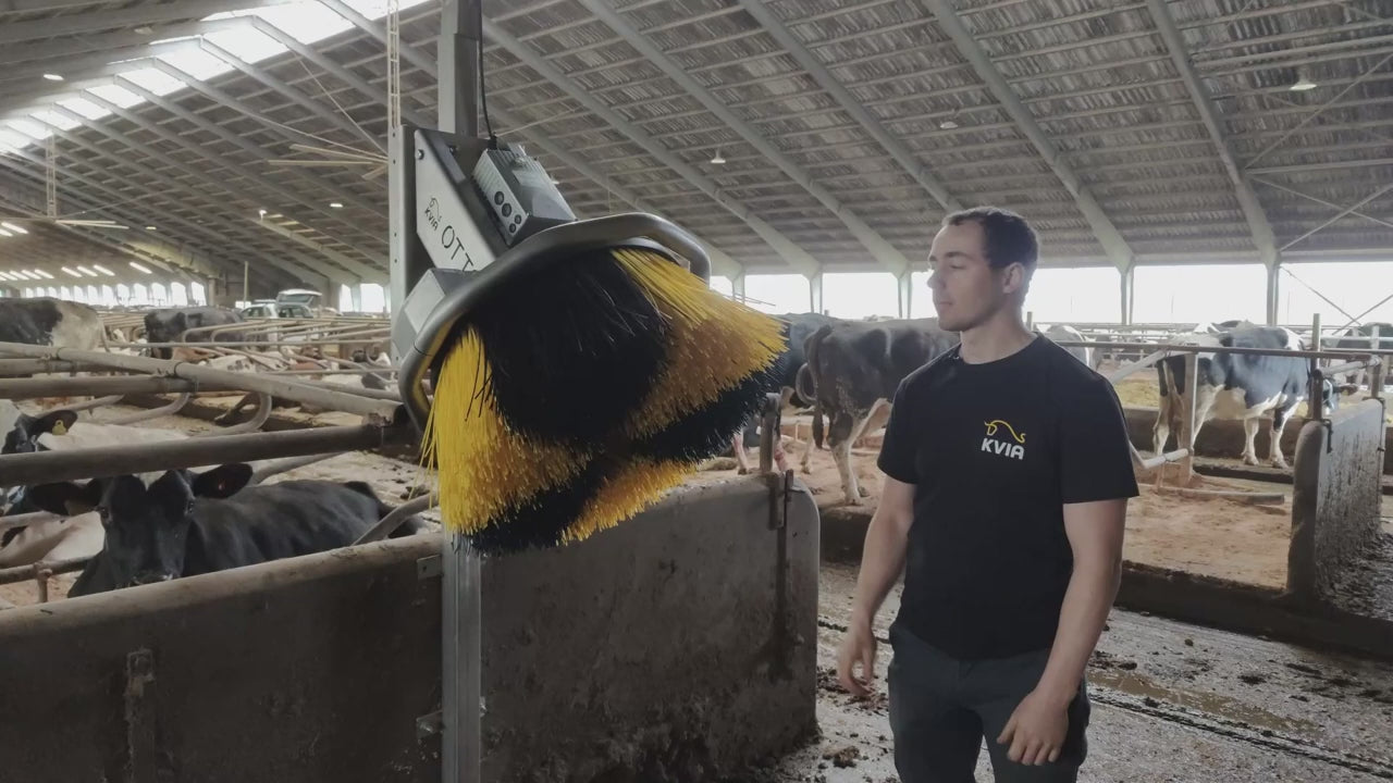 Ladda video: Därför ska du välja Otto