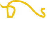 Kvia - Best Because it Lasts